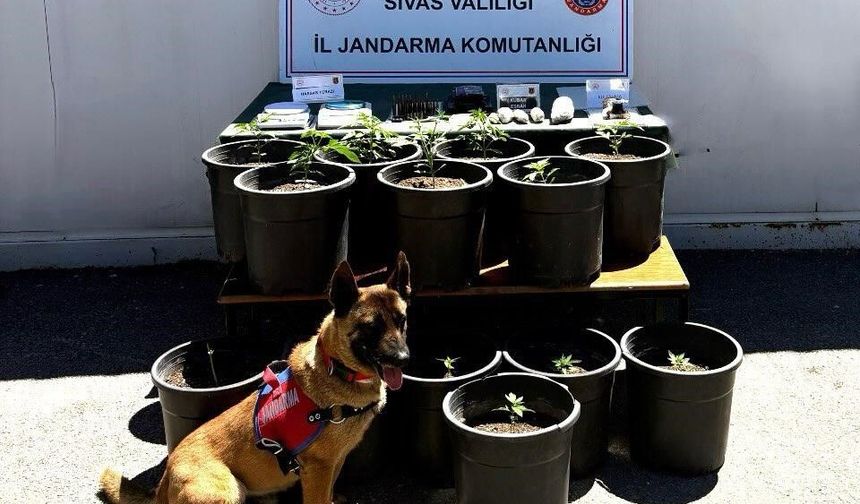 Sivas'ta fide halindeyken yakalandı