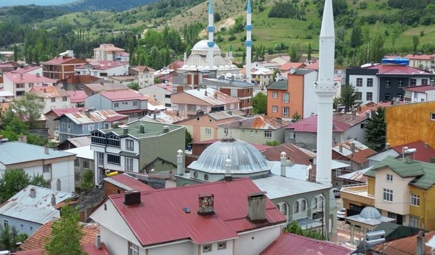 25 Yıl sonra Tokat'a Gelen Leylek Ailesinden Yalnızca Bir Yavru Sağ Kaldı!