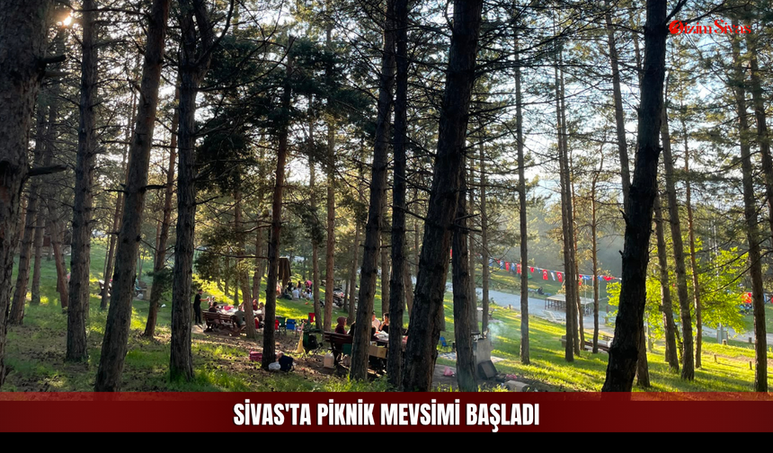 Güneşli Havayı Gören Mesire Alanlarına Koştu!
