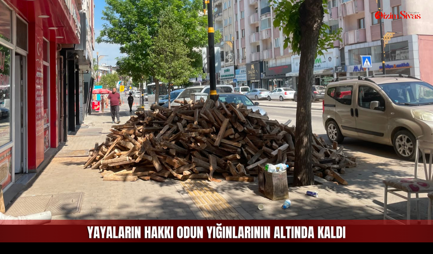 Kaldırım mı, Odunluk mu?