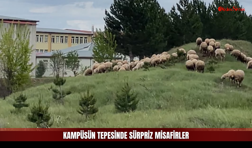 Sivas'ta Akademik Hayata Mera Molası