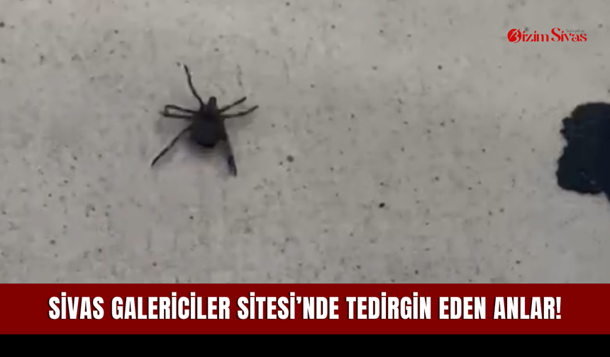 Sivas Galericiler Sitesi’nde tedirgin eden anlar!