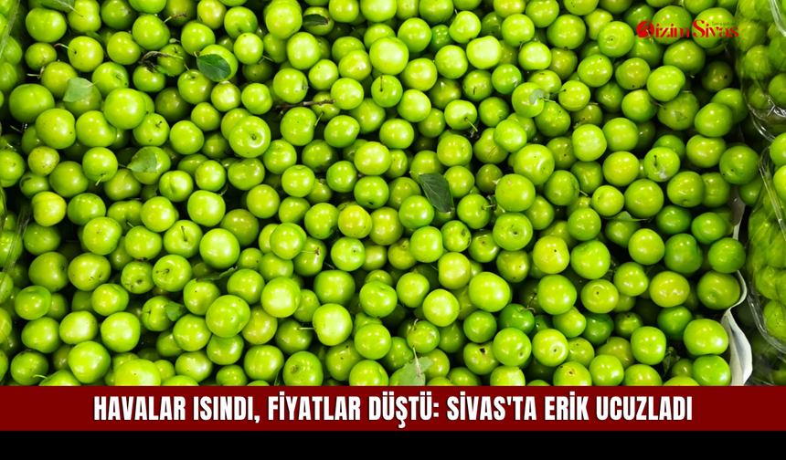 Havalar Isındı, Fiyatlar Düştü: Sivas'ta Erik Ucuzladı