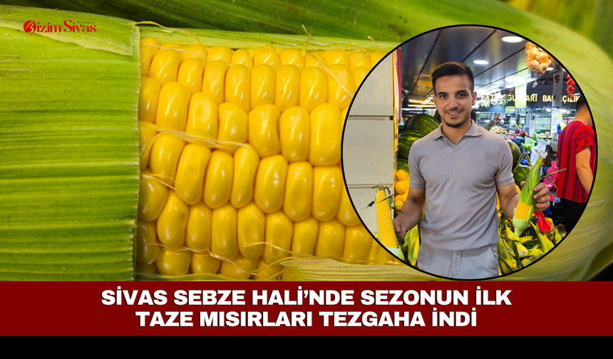 Sivas Sebze Hali’nde sezonun ilk taze mısırları tezgaha indi