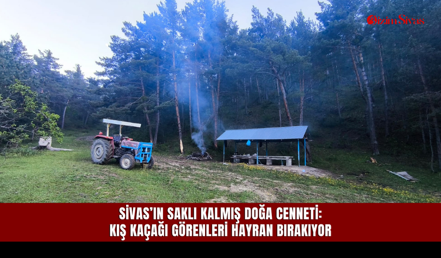 Sivas’ın saklı kalmış doğa cenneti: Kış Kaçağı görenleri hayran bırakıyor