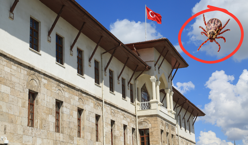Dikkat ! Sivas Valiliği’nden Kene Uyarısı