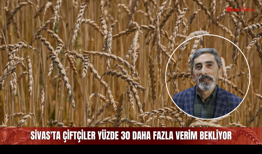 Sivas'ta çiftçiler yüzde 30 daha fazla verim bekliyor