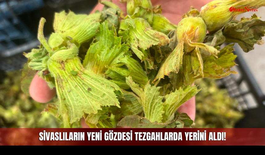Sivaslıların Yeni Gözdesi Tezgahlarda Yerini Aldı! Fiyatı Dikkat Çekiyor!