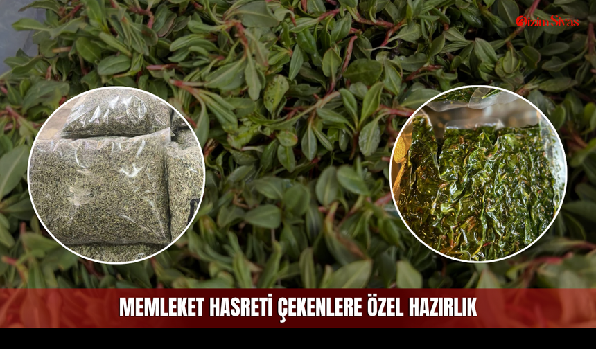 Memleket Hasreti Çekenlere Özel Hazırlık