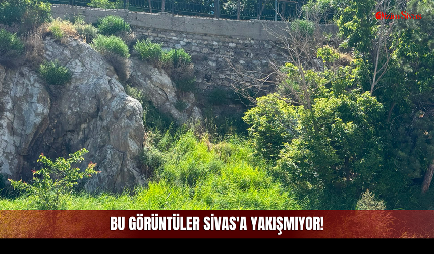 Bu görüntüler Sivas'a Yakışmıyor!