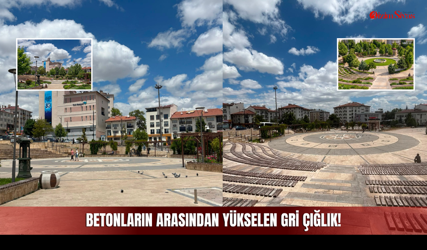 Betonların Arasından Yükselen Gri Çığlık! Yeşil Alanlar Yeterli mi?