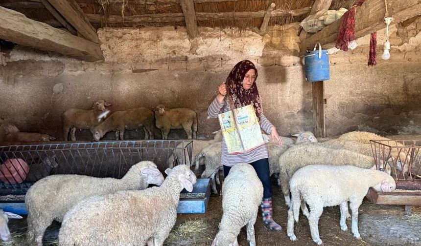 Eşi "büyü" bahanesiyle öldürülen kadın, hem çobanlık yapıp hem iki oğlunu okutuyor