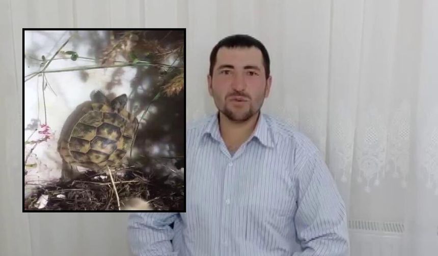 Sivas'ta kamlumbağayı bidondan kurtardı