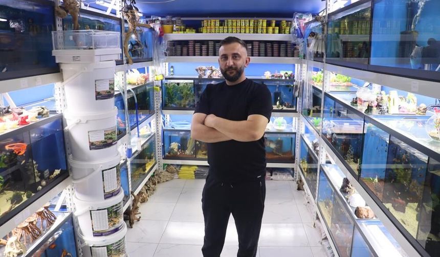 Sivas'ta egzotik akvaryum balıklarına ilgi arttı