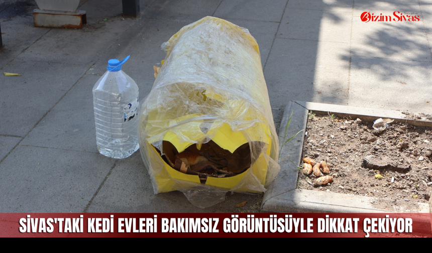 Sivas'taki Kedi Evleri Bakımsız Görüntüsüyle Dikkat Çekiyor