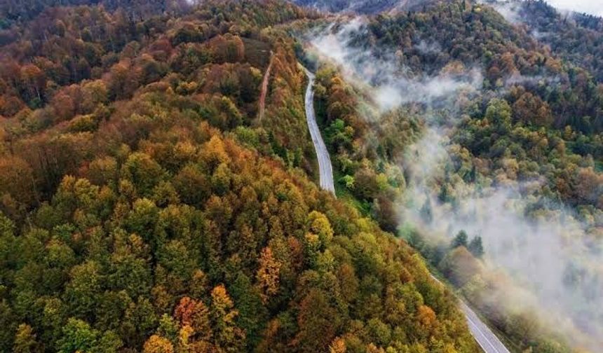 81 İlde Aynı Anda Başlıyor! Aileler İçin Dev Doğa Organizasyonunun Tarihi Belli Oldu