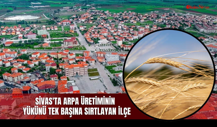 Sivas'ta arpa üretiminin yükünü tek başına sırtlayan ilçe