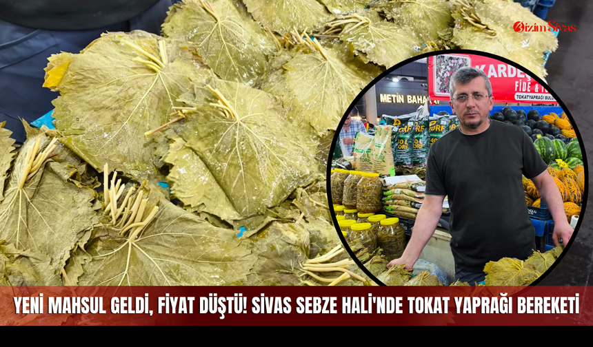 Yeni mahsul geldi, fiyat düştü! Sivas Sebze Hali'nde Tokat Yaprağı bereketi