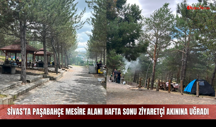 Sivas'ta Paşabahçe Mesire Alanı hafta sonu ziyaretçi akınına uğradı