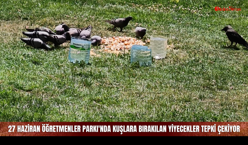 27 Haziran Öğretmenler Parkı'nda kuşlara bırakılan yiyecekler tepki çekiyor