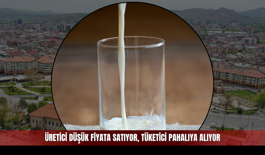 Üretici düşük fiyata satıyor, tüketici pahalıya alıyor