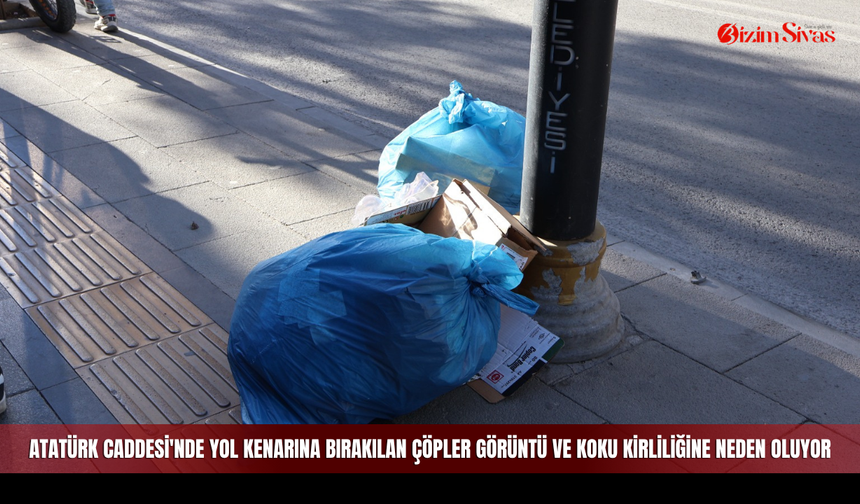 Atatürk Caddesi'nde Yol Kenarına Bırakılan Çöpler Görüntü ve Koku Kirliliğine Neden Oluyor