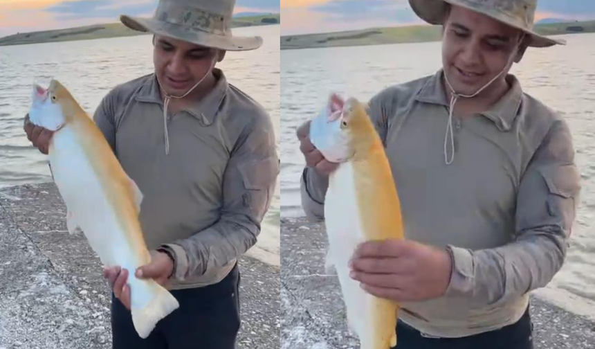 Oltasına Takılan Albino Alabalığı Görünce Gözlerine İnanamadı!