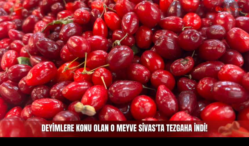 Deyimlere Konu Olan O Meyve Sivas'ta Tezgaha İndi!