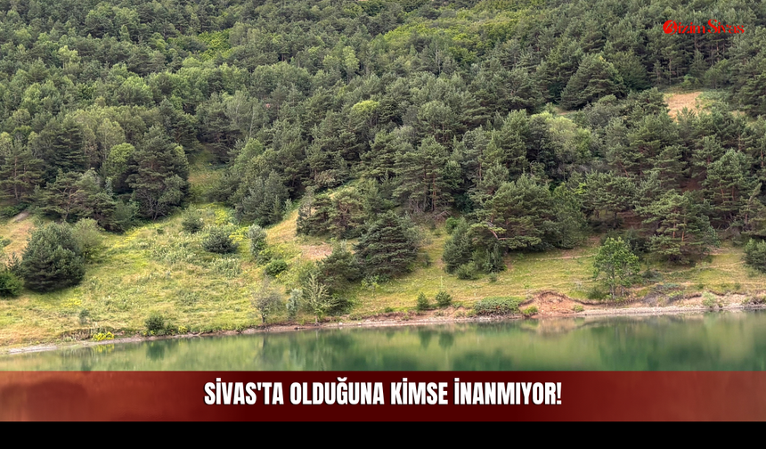 Sivas'ta Olduğuna Kimse İnanmıyor!
