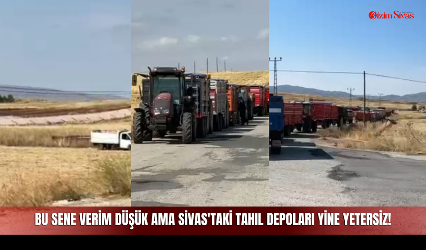 Bu Sene Verim Düşük Ama Sivas'taki Tahıl Depoları Yine Yetersiz!