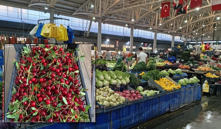 Sivas’ta vişne bereketi: Kilosu 150 TL’den yoğun ilgi