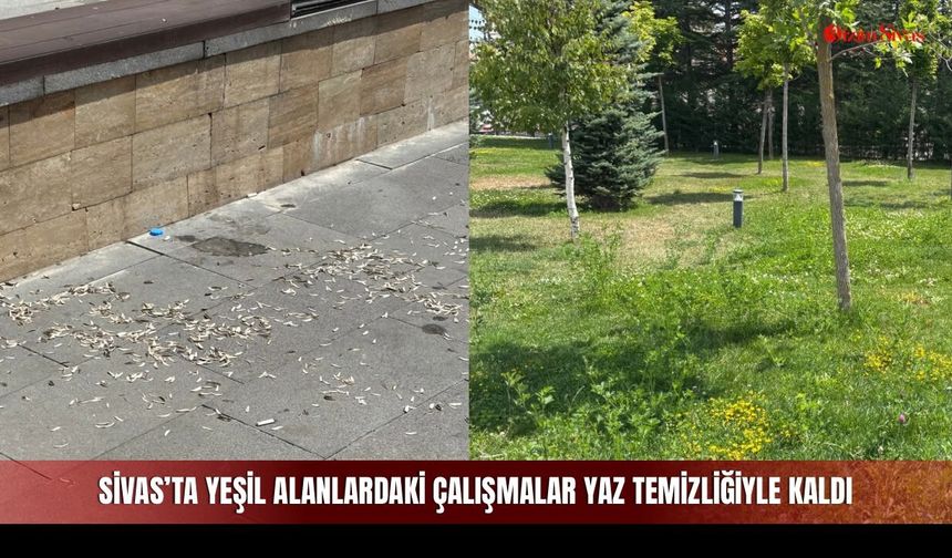 Sivas’ta Yeşil Alanlardaki Çalışmalar Yaz Temizliğiyle Kaldı
