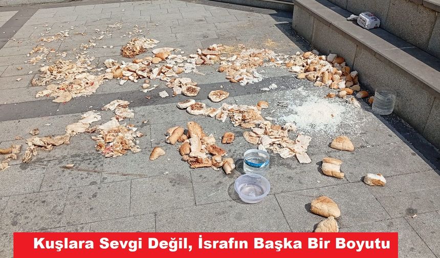 Kuşlara Sevgi Değil, İsrafın Başka Bir Boyutu