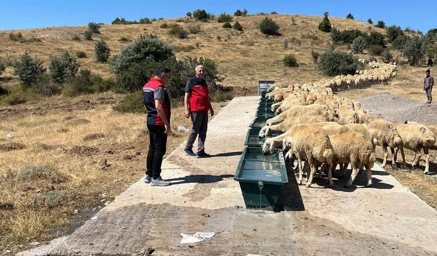 Sivas'ta Mera Islahı ve Amenajman Projesi incelemesi