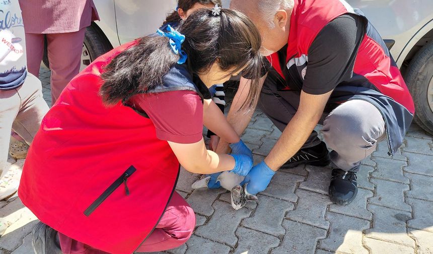 Gürün Gökçeyazı Köyü’nde Epidemiyolojik Çalışma