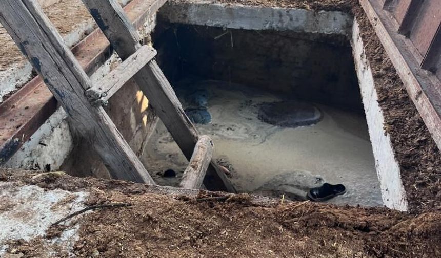 Hayvanlarını Kurtarmak İsterken Foseptik Çukurunda Hayatını Kaybetti!
