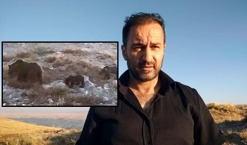 Sivas'ın doğal hayatında gülümseten anlar