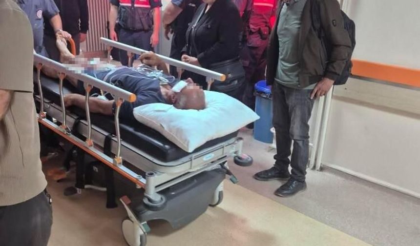 Sivas’ta Ayı Dehşeti! Çobanın Hayatını Köpekleri Kurtardı
