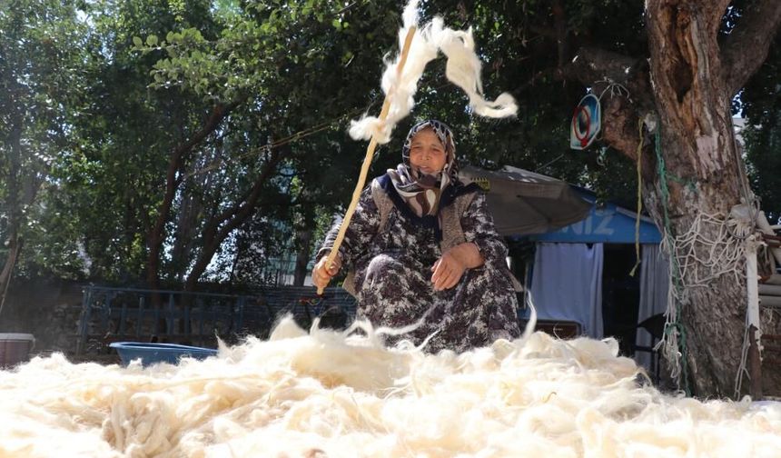 Sivas'ta yün sezonu başladı