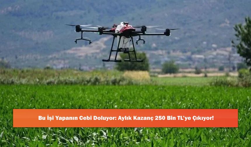 Bu İşi Yapanın Cebi Doluyor: Aylık Kazanç 250 Bin TL’ye Çıkıyor!