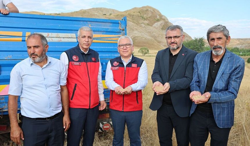 Sivas’ta hasat başladı
