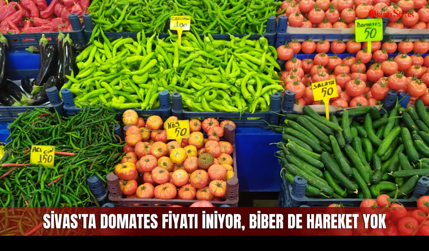 Sivas'ta domates fiyatı iniyor, biber de hareket yok