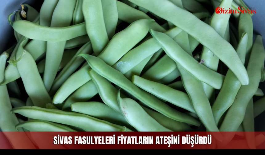 Sivas fasulyeleri fiyatların ateşini düşürdü