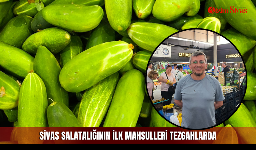 Sivas salatalığının ilk mahsulleri tezgahlarda