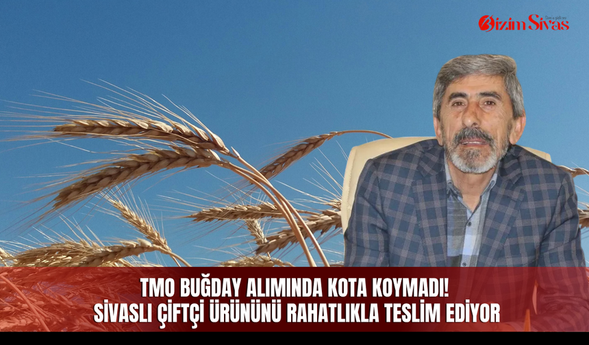 TMO buğday alımında kota koymadı! Sivaslı çiftçi ürününü rahatlıkla teslim ediyor