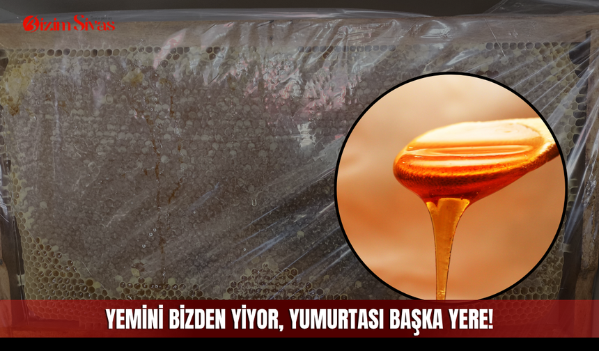 Yemini bizden yiyor, yumurtası başka yere!
