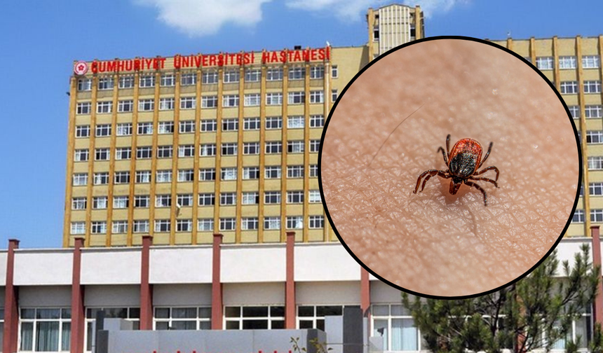 Sivas’ta Kene Bir Can Daha Aldı!