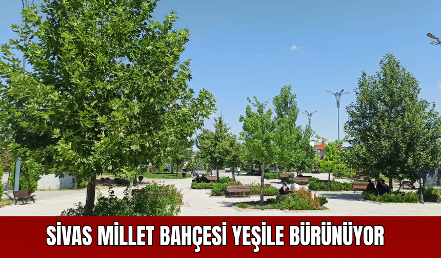 Sivas Millet Bahçesi Yeşile Bürünüyor