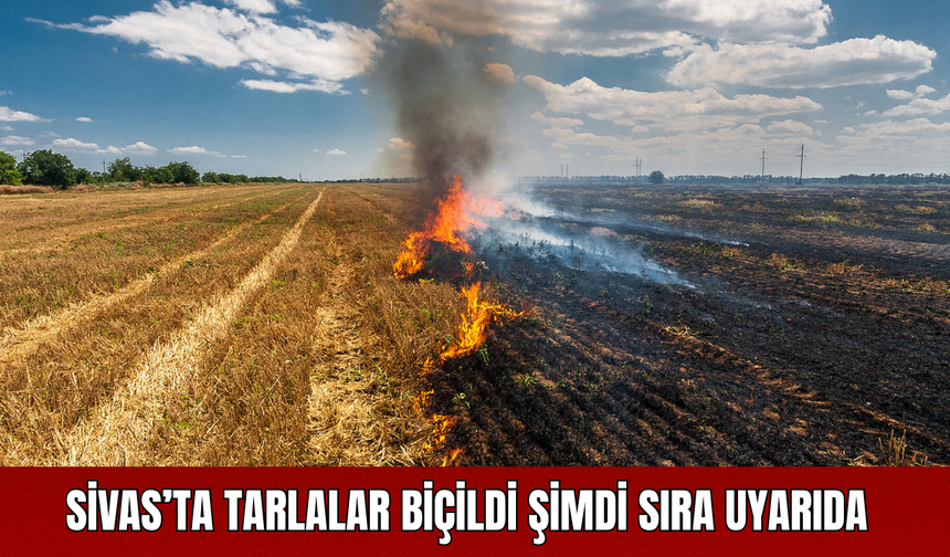 Sivas’ta Tarlalar Biçildi, Şimdi Sıra Uyarıda