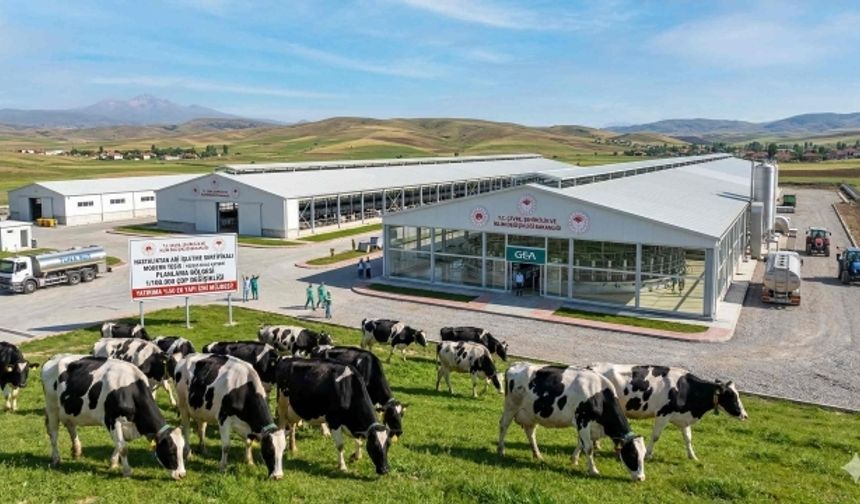 Sivas'ta Hastalıktan Ari İşletmeler Programında yeni dönem